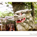 長野県、諏訪神社の狛犬