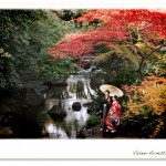 紅葉の日本庭園で和装前撮り