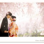 桜に囲まれて和装前撮りフォトウェディング