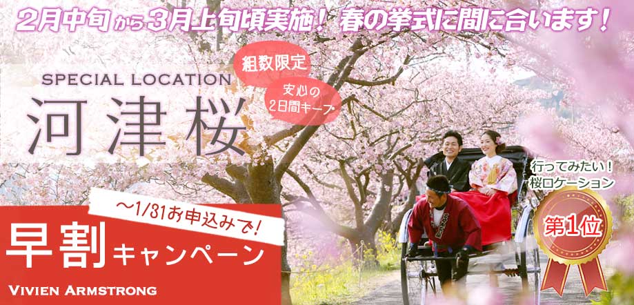 青空と河津桜の下、人力車で桜ロケーションフォト