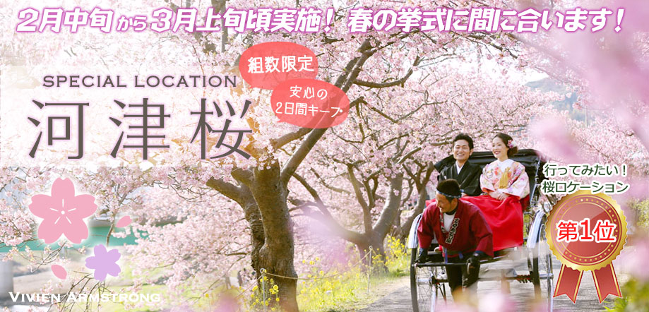 青空と河津桜の下、人力車で桜ロケーションフォト