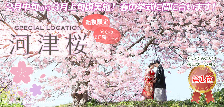 河津桜でフォトウェディング