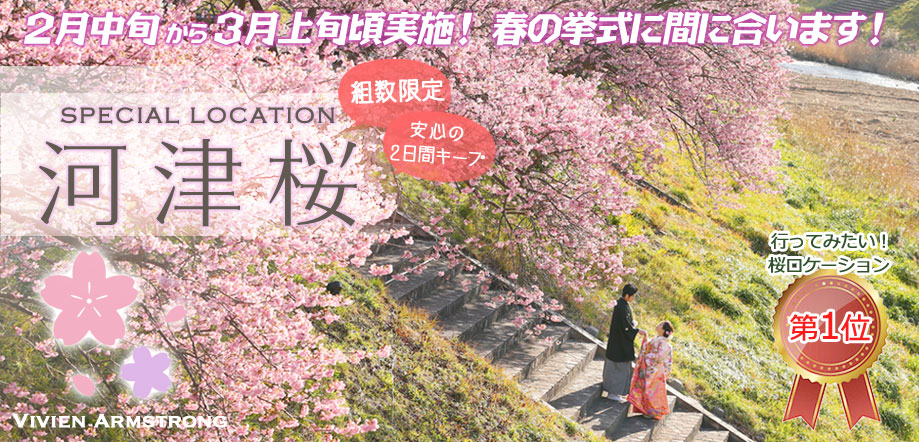 河津桜でフォトウェディング